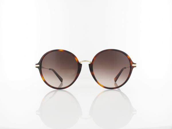 Longchamp |  LO645S 214 56 | havana / brown gradient